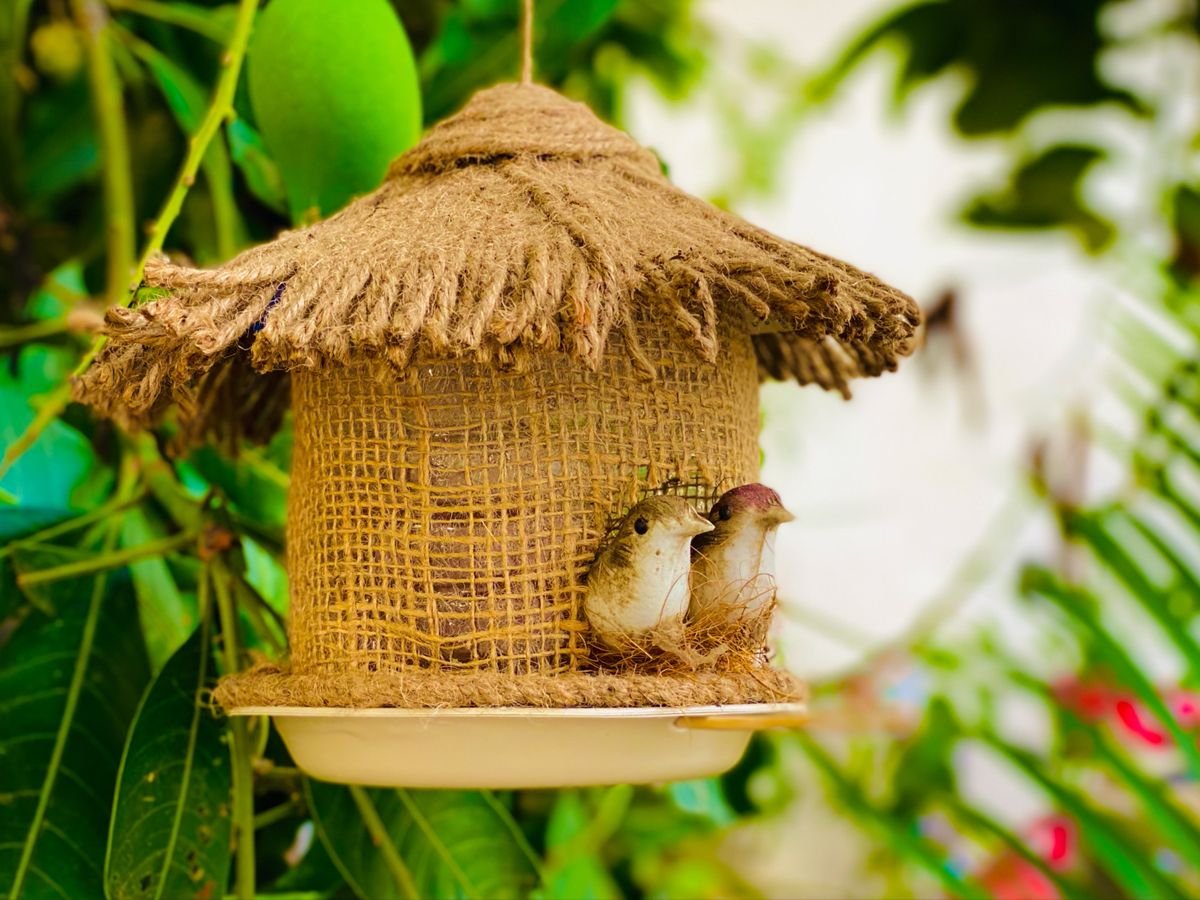 Nest Comfort bird accessory
